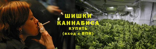 шишки Гусев