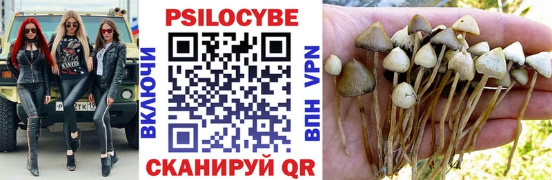 Псилоцибиновые грибы мицелий  Тихорецк 