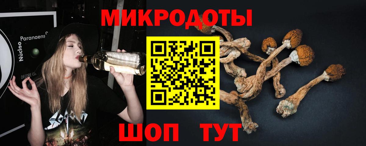 Псилоцибиновые грибы мицелий  Вход с VPN  Тихорецк  Галлюциногенные грибы ЛСД 